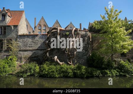 Bruges, Belgique. 1er juin 2021. L'installation artistique 'dénaturation 4' de Henrique Oliveira est vue à Bruges, Belgique, le 1er juin 2021. Du 8 mai au 24 octobre, le troisième triennal de Bruges apporte l'art et l'architecture contemporains à la ville riche en histoire. Avec le thème "trauma", des œuvres d'art créées par treize artistes et architectes ont été présentées dans différents endroits de la ville. Credit: Zheng Huansong/Xinhua/Alay Live News Banque D'Images