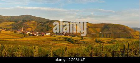 FRANCE, HAUT-RHIN (68), VIGNOBLE ET VILLAGE DE NIEDERMORSCHWIHR EN AUTOMNE ET EN ARRIÈRE-PLAN LE VIGNOBLE DE GRAND CRU MMERBERG Banque D'Images