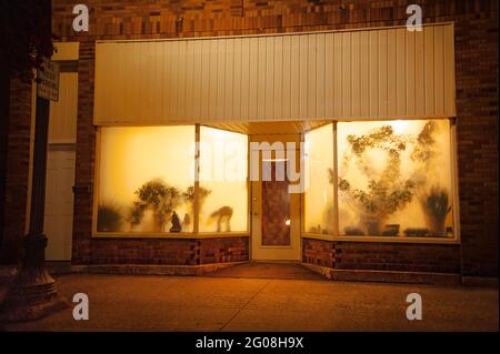 Figures et plantes dans une fenêtre étrange de shopping la nuit, Ironwood, Michigan, États-Unis Banque D'Images