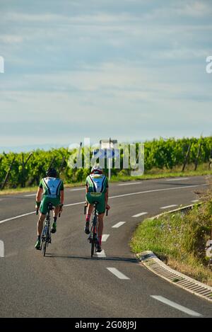 FRANCE, BAS-RHIN (67), BLIENSCHWILLER, CYCLISTES SUR LA ROUTE DES VINS (ROUTE D35) Banque D'Images