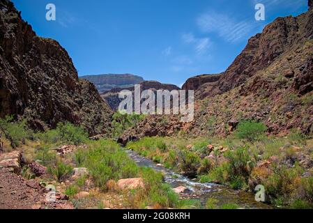 Vue sur le fond de la vallée du Grand Canyon depuis le sentier d'ange lumineux de North Kaibab le long de Bright Angel creek qui coule avec la neige de source se déverse dans le fleuve colorado. Banque D'Images