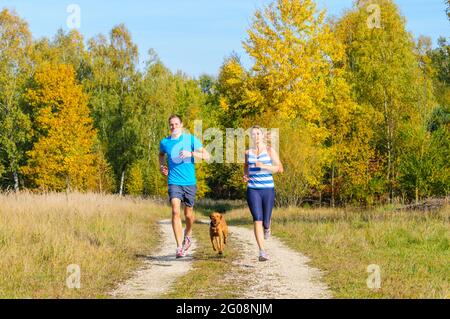 Couple de jogging dans la nature automnale avec leur chien Banque D'Images