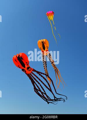 Trois cerfs-volants un jour ensoleillé deux cerfs-volants contre un ciel bleu. Banque D'Images