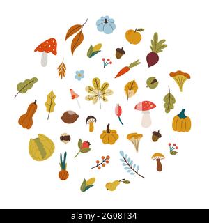 feuilles d'automne, champignons, légumes de style plat Illustration de Vecteur