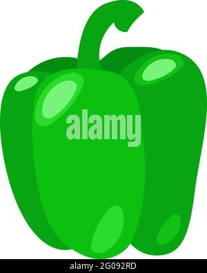 Légumes verts au poivron entiers. Illustration de vecteur de nature alimentaire simple Illustration de Vecteur