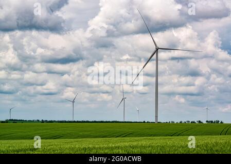 Centrale éolienne avec des turbines placées dans un champ de blé Banque D'Images
