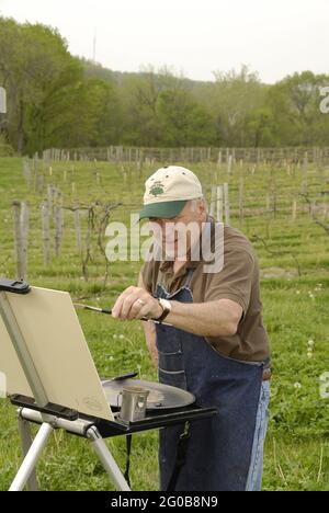 AUGUSTA, ÉTATS-UNIS - 30 avril 2009 : un artiste de plein air au travail dans le paysage du Missouri. Banque D'Images