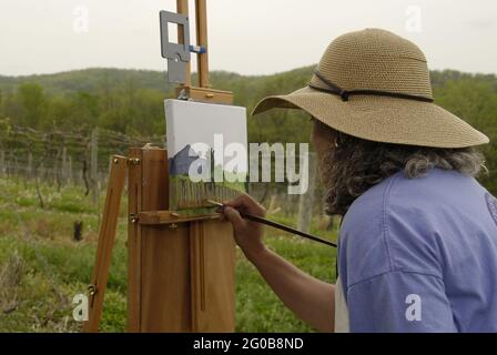 AUGUSTA, ÉTATS-UNIS - 30 avril 2009 : un artiste de plein air au travail dans le paysage du Missouri Banque D'Images