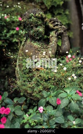 Île de fécondité écrasante : un puto en pierre recouvert de mousse et de lichen dans le jardin tropical de Monte à Funchal, la capitale de Madère. Banque D'Images