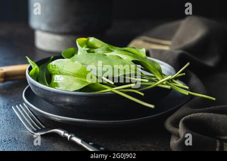 Feuilles de ramsons verts. Ail sauvage sur assiette noire. Banque D'Images