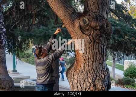 Une statue d'une personne dans un arbre Banque D'Images