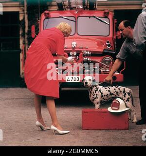 À la mode dans les années 1950. Une jeune femme en robe rouge, des gants blancs et des chaussures blanches devant un camion de pompiers Ford avec un chien dalmatien et un casque de pompier américain. Le dalmatier est traditionnellement une mascotte des pompiers. Les préparatifs sont effectués avant une séance photo de mode. Suède 1958 réf. CV68-9 Banque D'Images