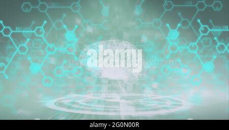 Composition du cerveau humain et structures blanches de composés chimiques Banque D'Images