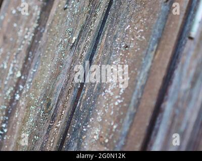 ancienne texture en bois gris avec inclusions bleues et fissure Banque D'Images