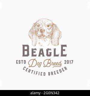 Modèle de badge ou de logo pour chien Breeder. Dessin de la face de race Beagle dessiné à la main avec Typographie rétro. Emblème Premium vintage. Isolé Illustration de Vecteur