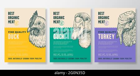 Portrait d'oiseaux Organic Poultry Vector Packaging Design ou ensemble de modèles d'étiquettes. Banderoles de biftecks de ferme. Typographie moderne et poulet tiré à la main, canard Illustration de Vecteur