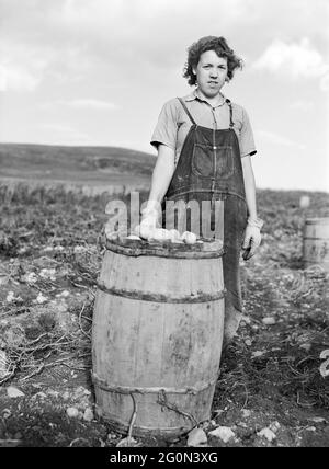 Adolescente de pommes de terre au champ avec un baril de pommes de terre, qui viennent d'être cueillies, Saint David, Maine, Etats-Unis, Jack Delano, Administration américaine de la sécurité agricole, octobre 1940 Banque D'Images