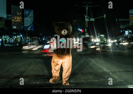 Yogyakarta, région spéciale de Yogyakarta, Indonésie. 1er juin 2021. Un butard portant un costume d'ours danse dans les rues de Yogyakarta pour obtenir de l'argent des usagers de la route le mardi 1er juin 2021. En Indonésie, le taux de pauvreté augmente en raison de la pandémie de Covid-19. Pendant ce temps, le président Joko Widodo fait de son mieux pour résoudre les problèmes économiques et de santé de l'Indonésie. Credit: Slamet Riyadi/ZUMA Wire/Alamy Live News Banque D'Images