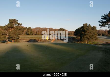 Vue sur le 17ème Green sur Old course sur un matin glacial Walton Heath Golf Club, Walton-on-the-Hill, Surrey, Angleterre. Banque D'Images