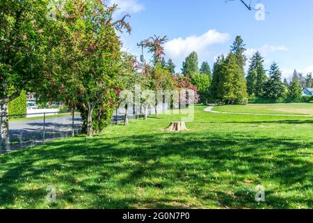 Une vue d'un parc de la ville avec fleurs en fleur au printemps. L'emplacement est Burien, Washington. Banque D'Images