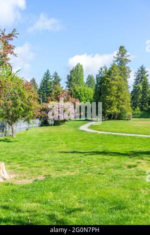 Une vue d'un parc de la ville avec fleurs en fleur au printemps. L'emplacement est Burien, Washington. Banque D'Images