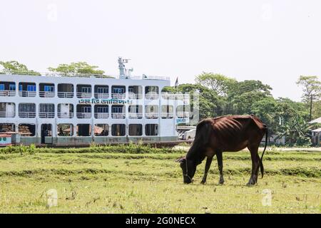 Bhola, Bangladesh : terminal de ferry de Letra situé sur les rives d'une petite rivière appelée Maya, Char fasson Bhola. Banque D'Images