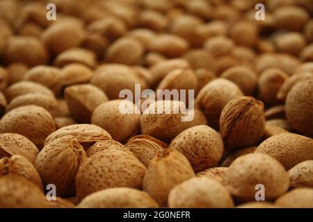 Beaucoup d'amandes décortiquées cueillies de l'arbre et s'étaler à sec, prêt à se séparer et à faire du nougat ou d'autres aliments d'amande Banque D'Images