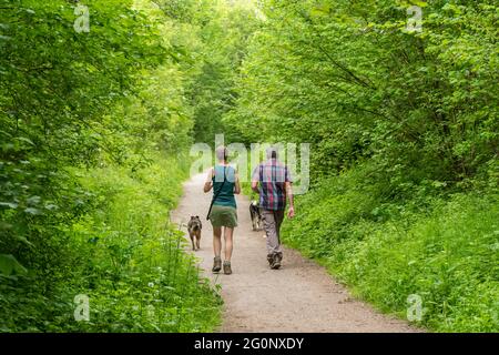 Randonneurs randonnée le long de la piste Meon Valley Trail près de West Meon dans le Hampshire, Angleterre, Royaume-Uni, en juin ou en été. Banque D'Images