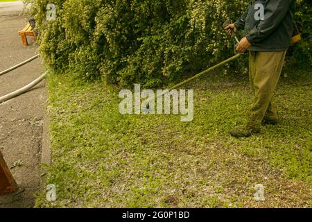 Travail d'été dans le parc. Le jardinier coupe l'herbe. Un homme utilise un coupe-herbe sans couvercle de protection. Banque D'Images