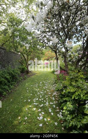 Château de Glenapp, Ballantrae, Girvan KA26 0NZ, Écosse, Royaume-Uni. 5 étoiles Luxury Castle Hotel, Ayrshire dans le sud-ouest de l'Écosse. Le jardin clos Banque D'Images