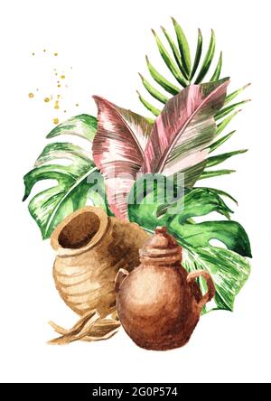 Vieux pots en céramique et feuilles exotiques tropicales ou de jungle. Aquarelle illustration dessinée à la main isolée sur fond blanc Banque D'Images