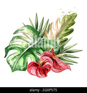 Feuilles et fleurs de plantes exotiques tropicales ou de la jungle. Illustration aquarelle dessinée à la main, isolée sur fond blanc Banque D'Images