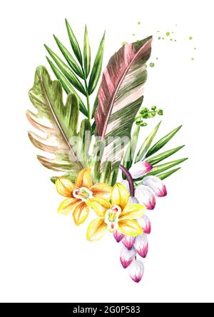 Feuilles et fleurs exotiques de composition de plantes tropicales ou de jungle. Aquarelle illustration dessinée à la main isolée sur fond blanc Banque D'Images