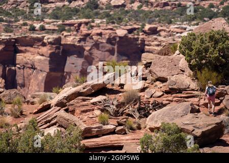 Moab, Utah - 12 mai 2021 : le randonneur se démène sur des rochers pour se rendre sur un sentier dans le parc national de Canyonlands - île dans le quartier des Sky Banque D'Images