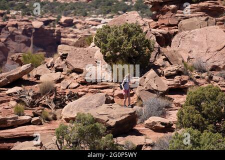 Moab, Utah - 12 mai 2021 : le randonneur se démène sur des rochers pour se rendre sur un sentier dans le parc national de Canyonlands - île dans le quartier des Sky Banque D'Images