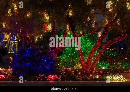 Arizona - Temple Mesa Morman - Noël - le Christ, le Sauveur, est né! Banque D'Images