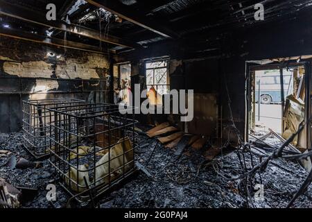 Boutique brûlée après le feu avec des murs carbonisés et des restes de meubles. Banque D'Images