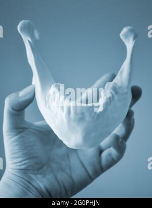 Une jeune fille tient une mandibule imprimée sur une imprimante 3d sur sa paume Banque D'Images