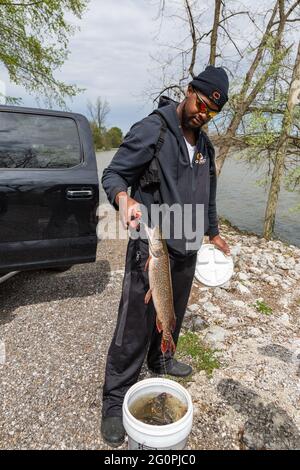 Un pêcheur armé au réservoir de Cedarville, à Leo-Cedarville, en Indiana, vérifie ses prises, y compris ce Pike du Nord. Banque D'Images