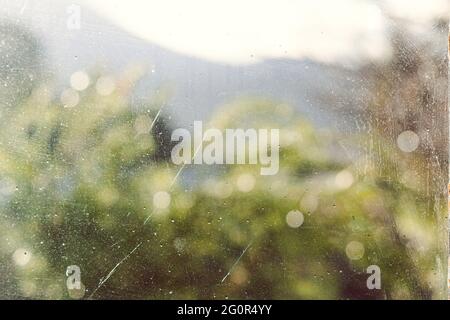 raindrops sur la fenêtre avec jardin verdoyant et bokeh d'arbre tiré de l'intérieur à faible profondeur de champ Banque D'Images
