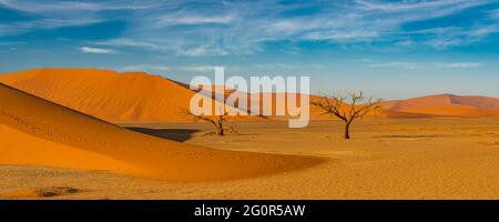 Panorama paysage du désert avec de grandes dunes de sable et deux arbres morts à Sossusvlei, Namibie Banque D'Images