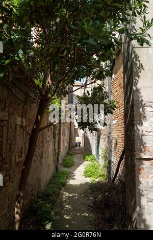 Venise pendant le confinement de Covid19, Italie, Europe, Banque D'Images