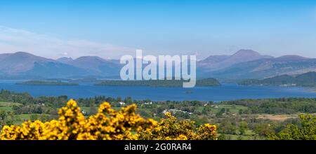 Loch Lomond vu de Duncryne Hill le jour de printemps chaud, montrant les îles y compris Inchcaillloch, Torrinch et le pic de Ben Lomond Scotla Banque D'Images