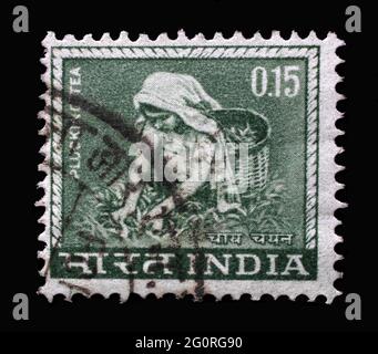Le timbre imprimé en Inde montre le thé de la femme, de la série 'Definitive Stamp', vers 1965 Banque D'Images