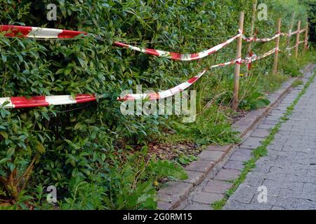 Zone du parc entourée de ruban adhésif rouge et blanc autour d'une haie. Banque D'Images