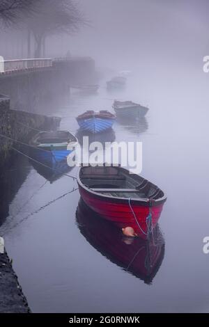 Irlande, comté de Sligo, ville de Sligo, parc de Doorly, bateaux sur la rivière Garavogue le matin d'un hiver brumeux. Banque D'Images