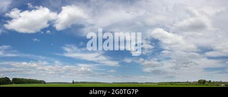 Panorama bleu ciel nuageux sur les champs agricoles avec des cultures par jour ensoleillé. Banque D'Images