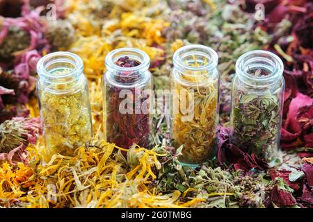 Bouteilles en verre d'herbes médicinales - hélichrysum, pétales de rose, calendula, marjolaine sauvage. Sécher les plantes, les herbes et les fleurs sur la table. Médecine alternative. Banque D'Images