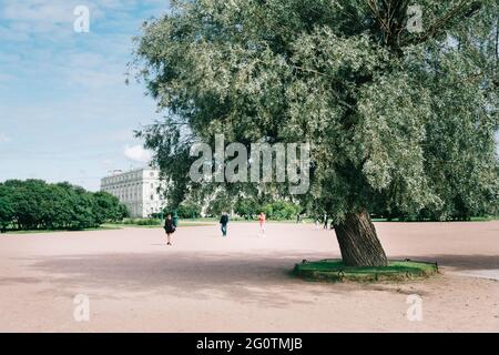 Grand saule dans un parc public de la ville. Banque D'Images