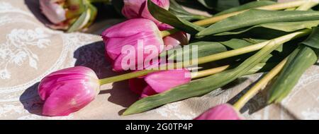 Gros plan de tulipes de cueillette couchées sur une couverture. Banque D'Images